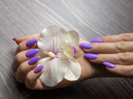 Photo for Stylish trendy nail young woman hands violet manicure on background. - Royalty Free Image