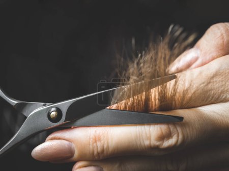 Foto de Peluquería haciendo corte de pelo. Tijeras de peluquería profesional - Imagen libre de derechos