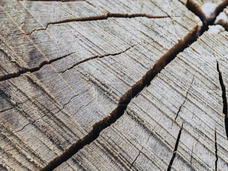 Foto de Textura de madera de un color teñido. Primer plano fondo de madera natural. - Imagen libre de derechos