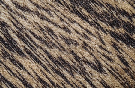 Téléchargez les photos : Wooden texture of a tinted color. Close up background of natural wood. - en image libre de droit