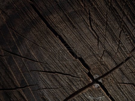 Photo for Wooden texture of a tinted color. Close up background of natural wood. - Royalty Free Image
