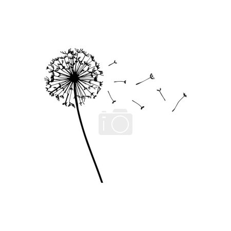 Photo for Silhouette of Dandelion Blowing in the Wind. Vector icon. - Royalty Free Image
