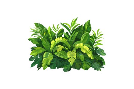 Planta de follaje tropical exuberante. Diseño de ilustración vectorial.