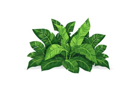Planta tropical verde exuberante. Diseño de ilustración vectorial.