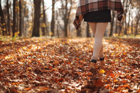 Téléchargez les photos : Vue recadrée de la jeune femme debout seule dans la forêt sauvage avec beaucoup de feuilles. Mode de vie et concept de survie vue arrière - en image libre de droit