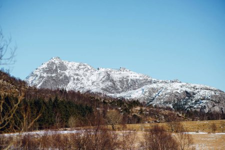 Photo for Scenic spring landscape of the forest and mountains with snowy peaks in Norway. Blue sky on sunny day - Royalty Free Image