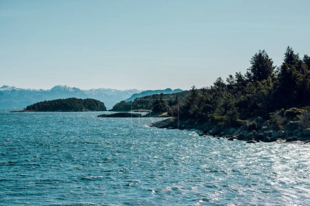 Photo for Beautiful view of sea and stony shore with green trees on sunny day in Norway. - Royalty Free Image