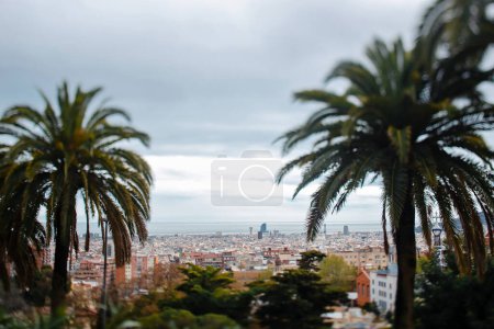 Téléchargez les photos : Amazing view of Barcelona city from park Guell in spring day. Tall straight plants growing over blue sky background in Barcelona. - en image libre de droit