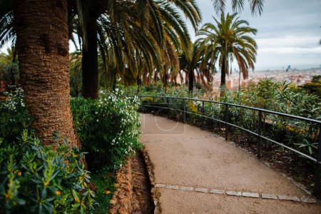 Foto de Walking path in green areas of Guell park with great landscape view to Barcelona city. Exotic palms and green bushes in famous tourists place in Spain. - Imagen libre de derechos