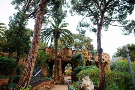 Foto de Camino a la galería de columnas de piedra diseñada por Antoni Gaudí en Barcelona. Hermosa ubicación natural con palmeras y plantas verdes en el día de primavera brillante. - Imagen libre de derechos