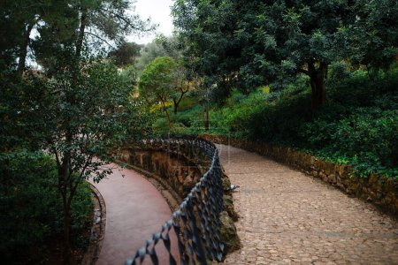 Téléchargez les photos : Stone road leading down with lots of greenery, trees and bushes at Guell park in Barcelona. Concept of amazing nature and picturesque garden. - en image libre de droit