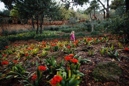 Foto de Adorable niña caminando en el campo de hermosas flores florecientes en el parque Antoni Gaudis. Niño explorando plantas exóticas en el día de primavera en Barcelona. - Imagen libre de derechos
