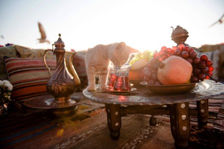 Foto de Pequeño gato esponjoso oliendo té aromático de vidrio que de pie en la mesa de madera redonda. Hermosa terraza de Estambul con alfombras y almohadas tradicionales. - Imagen libre de derechos