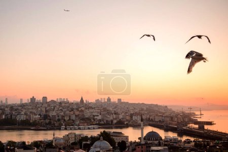 Téléchargez les photos : Fond naturel de belle matinée Istanbul avec une atmosphère chaleureuse et une architecture traditionnelle. Mouettes volant dans le ciel brumeux. Beau lever de soleil sur le détroit du Bosphore. - en image libre de droit
