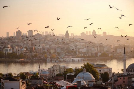 Foto de Cielo nublado de la mañana con muchas gaviotas volando sobre la hermosa ciudad turca. Hermoso amanecer en Estambul. Concepto de turismo y lugar popular. - Imagen libre de derechos