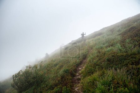 Photo for Strong young woman with nordic walking poles climb down mountains during morning fog. Female doing sport activity on fresh air. Beautiful nature around. - Royalty Free Image