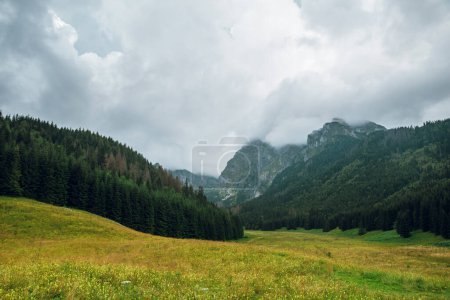 Téléchargez les photos : Vue panoramique de la belle montagne Rysy à High Tatry, en Pologne et en Slovaquie près de l'oeil marin. Prairie verte et collines - en image libre de droit