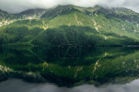 Téléchargez les photos : Mystérieux brouillard vert forêt de montagne et collines avec une réflexion sur le lac, morskie Oko à High Tatras, Zakopane, Pologne - en image libre de droit