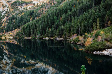 Téléchargez les photos : Paysage naturel incroyable dans les montagnes. Bouleau rocheux sur le lac Morskie Oko dans les Hautes Tatras, Pologne. - en image libre de droit