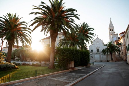 Photo for Exotic palm trees near pedestrian asphalted street in front of old houses in Croatia. Deserted road attracting with its cleanliness and serenity. Concept of aesthetic, town, landscapes and recreation. - Royalty Free Image