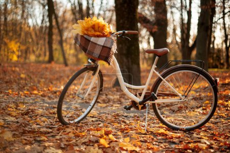 Foto de Bicicleta blanca con cesta de madera está de pie en el bosque de otoño en un día soleado. Concepto de viaje local sostenible - Imagen libre de derechos
