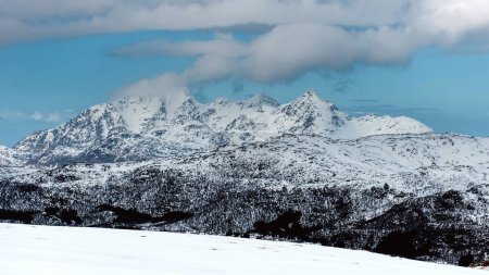 Photo for Winter landscape of rocky mountains with blue sky. Pure white snow covered everything around. Natural background and wallpaper. Norway, Lofoten islands. - Royalty Free Image