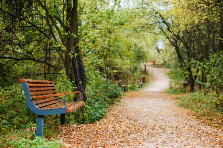 Photo for Wooden bench in the Krakow autumn park with fallen leaves on the ground and path. Zakrzowek, Poland - Royalty Free Image