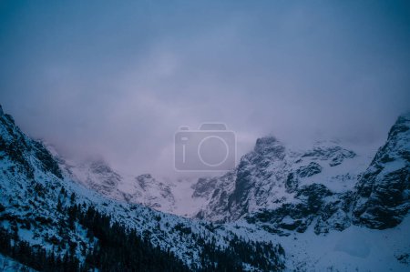 Photo for A natural landscape featuring a snowy Tatry mountain range with trees on the slope, under a cloudy sky. The geological phenomenon creates a picturesque landscape. Morskie Oko, Poland - Royalty Free Image