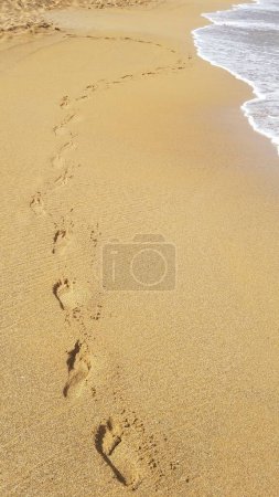 Photo for A lone figure traverses the vast shoreline, leaving behind a trail of footprints on the singing sand while the tranquil ocean waters and mudflat landscape envelop them in a serene outdoor experience - Royalty Free Image
