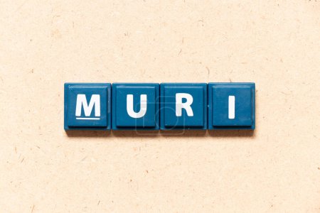Téléchargez les photos : Lettre carrelée en anglais mot muri sur fond de bois - en image libre de droit