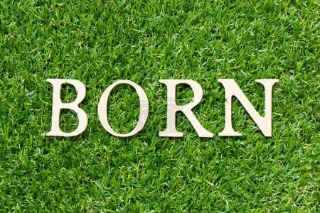 Photo for Wood letter in word born on green grass background - Royalty Free Image