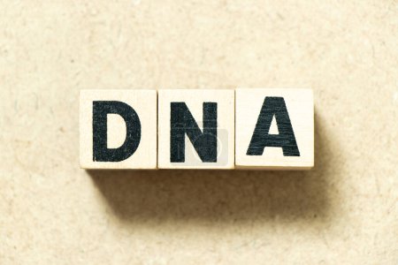 Téléchargez les photos : Alphabet lettre bloc dans le mot ADN (abréviation de l'acide désoxyribonucléique) sur fond de bois - en image libre de droit