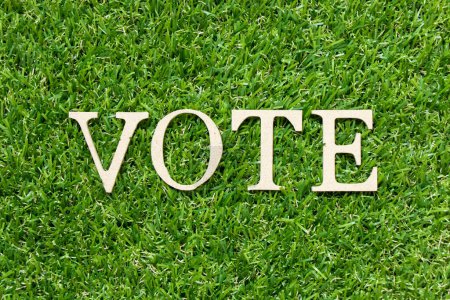 Carta de madera en la palabra voto sobre fondo de hierba verde