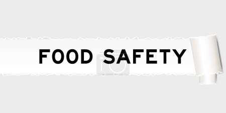 Illustration for Ripped gray paper background that have word food safety under torn part - Royalty Free Image