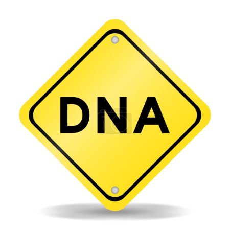 Téléchargez les illustrations : Signe de transport de couleur jaune avec le mot ADN (abréviation de l'acide désoxyribonucléique) sur fond blanc - en licence libre de droit