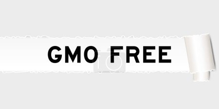 Fond en papier gris déchiré qui ont mot OGM (abréviation des organismes génétiquement modifiés) libre sous la partie déchiré