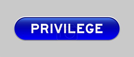 Blaue Farbe Kapsel Shape-Taste mit Wort Privileg auf grauem Hintergrund