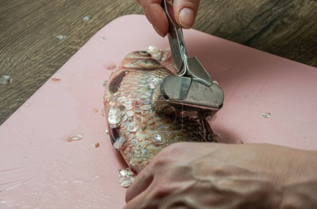 Photo for The cook peel the husk from crucian fish on a cutting board - Royalty Free Image
