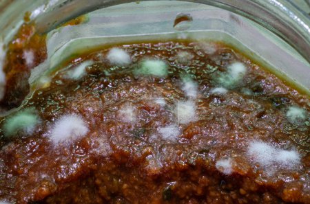 Téléchargez les photos : Sauce moisie dans un pot, gros plan de la photo - en image libre de droit