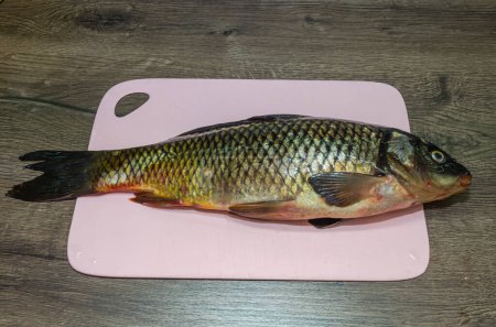 Fresh carp fish on a cutting board