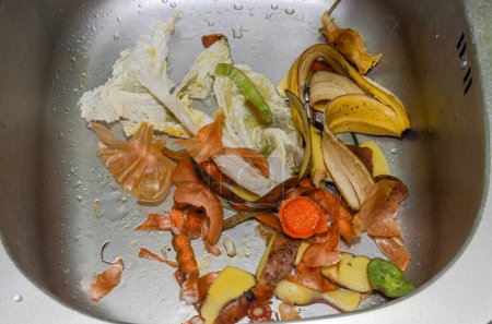 Foto de Residuos orgánicos, verduras peladas en el fregadero - Imagen libre de derechos