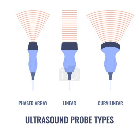 Ultraschallsondendiagramm. Lineare, gekrümmte und phasenweise angeordnete Schallwandler mit unterschiedlicher Schallwellenfrequenz. Sonographie-Konzept. Vektorillustration.
