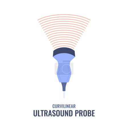 Illustration for Curvilinear ultrasound probe diagram. Convex array transducer for abdominal examinations. Medical sonography concept. Radiology equipment vector illustration. - Royalty Free Image