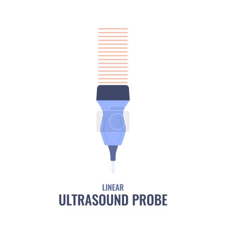 Illustration for Linear transducer icon. Vascular ultrasound probe diagram. Medical sonography concept. Radiology equipment vector illustration. - Royalty Free Image