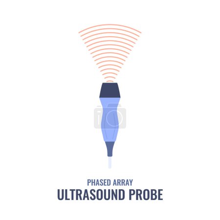 Illustration for Phased array transducer icon. Cardiac ultrasound probe diagram. Medical sonography concept. Radiology equipment vector illustration. - Royalty Free Image