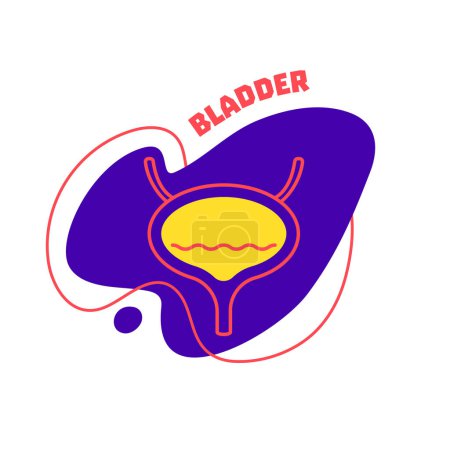 Illustration for Bladder urinary system body organ outline icon on abstract geometric splash. Human anatomy medical cartoon symbol. Vector illustration. - Royalty Free Image