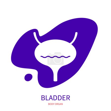 Illustration for Bladder urinary system body organ silhouette icon on abstract geometric splash. Human anatomy medical symbol. Vector illustration. - Royalty Free Image