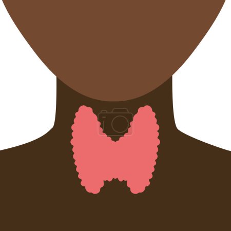 Illustration for Thyroid gland lobes icon. Black faceless body silhouette. Thyroid hormones function support. Hyperthyroidism and hypothyroidism diseases. Metabolism control. Body anatomy. Vector illustration. - Royalty Free Image