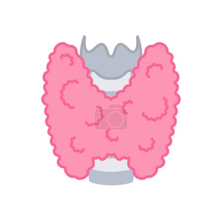 Illustration for Trachea and thyroid gland lobe icon. Thyroid hormones function test. Endocrine system. Hyperthyroidism and hypothyroidism diseases. Overactive and underactive organ. Isolated vector illustration. - Royalty Free Image