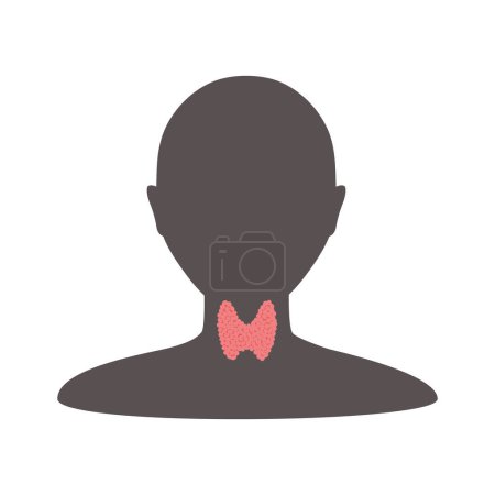 Illustration for Thyroid gland organ. Body silhouette black glyph icon. Hypothyroidism and hyperthyroidism disorders. TSH hormone disbalance therapy. Endocrinology concept. Isolated vector illustration. - Royalty Free Image